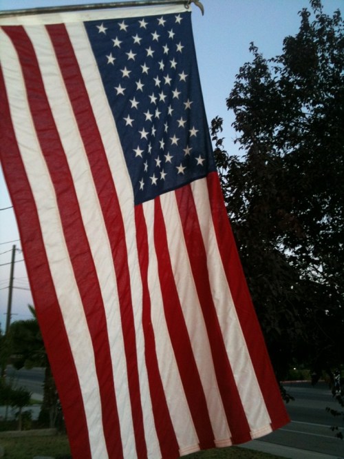 This flag flew over the US Capitol Building