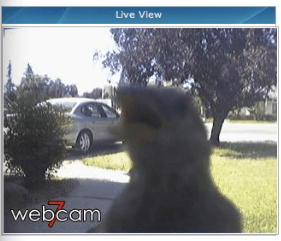 Screen Shot 2013-06-29 at 3.36.02 PM